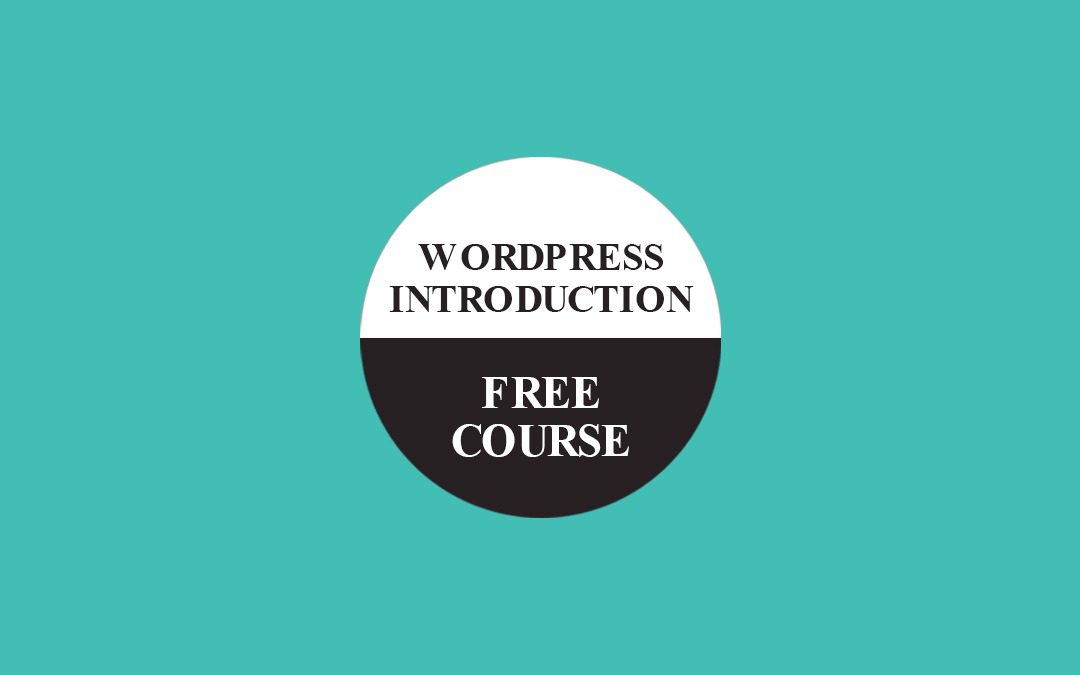 WordPress Introduction (Divi Training)