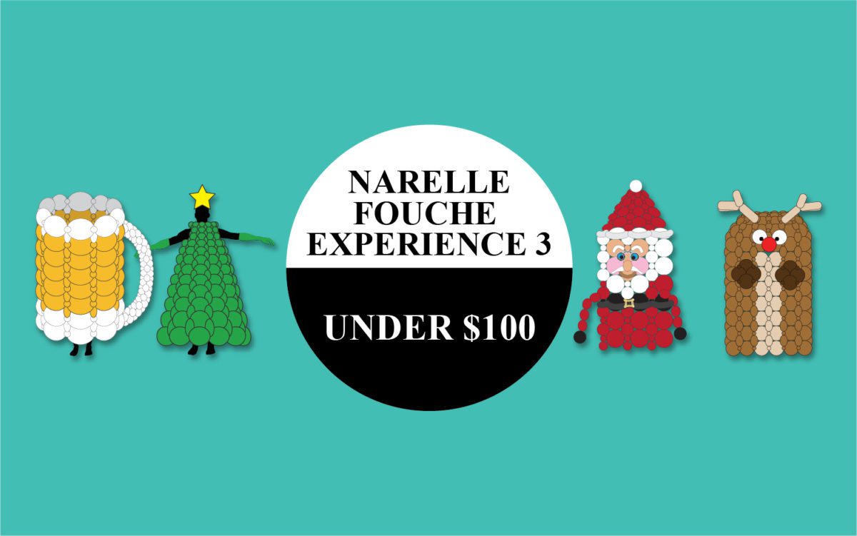 Narelle Fouche Experience 3